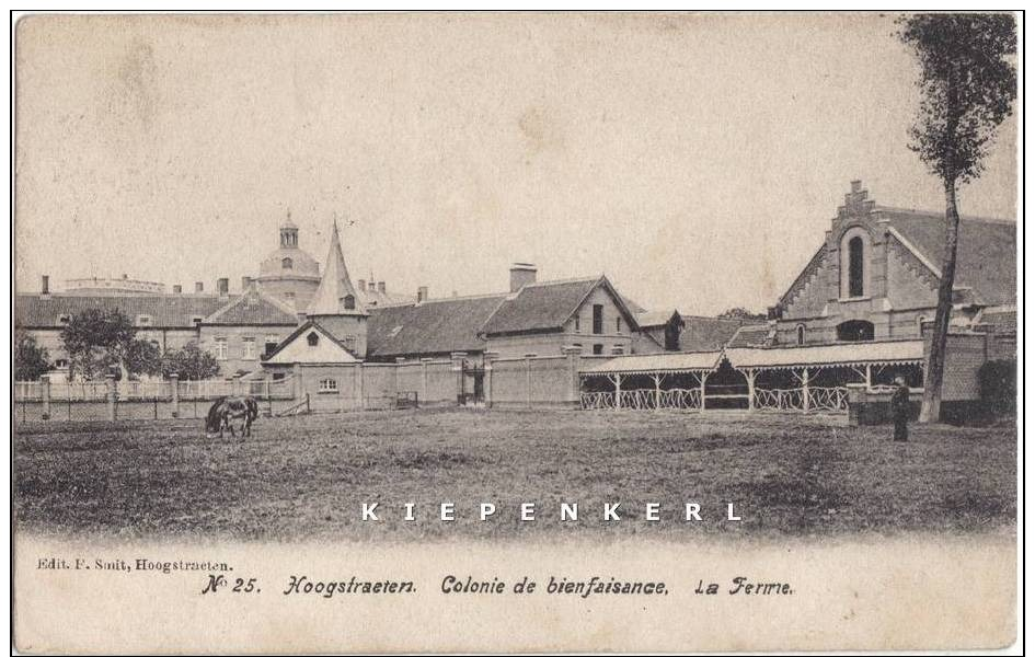 Hoogstraeten 1908 Hoogstraten - Colonie De Bienfaisance - LA FERME - Edit F Smit N° 25 - Hoogstraten