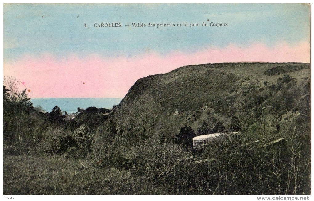 CAROLLES VALLEE DES PEINTRES ET LE PONT DU CRAPEX (PASSAGE DE LA MICHELINE) CARTE COLORISEE - Other & Unclassified