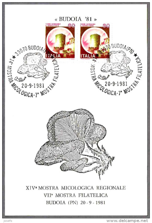 14 Exposicion Micologica - SETAS - MSHROOMS. Budoia, Pordenone, 1981 - Champignons