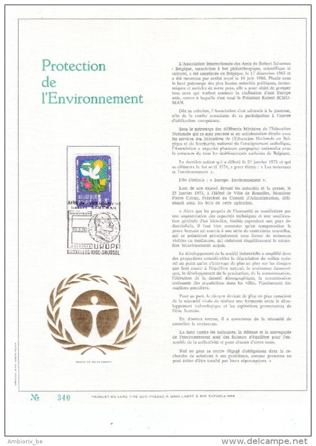 Carte Max Gold - Feuillet Or - 1707 - Protection De L'environnement - 1971-1980