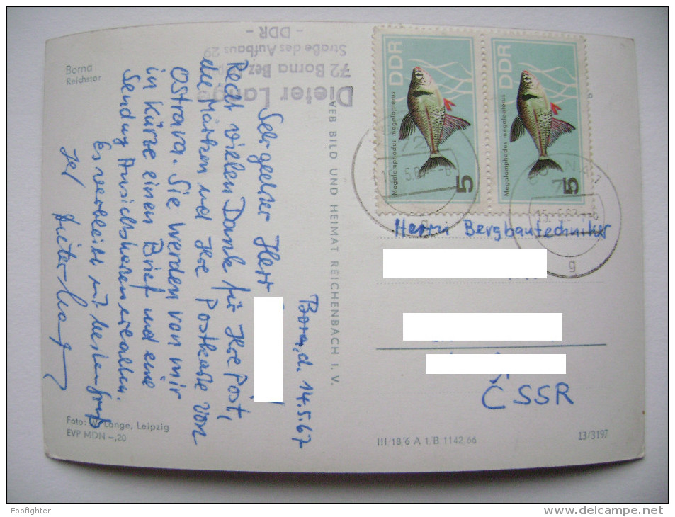 BORNA - Reichstor - Stamp 2x 5 Pf DDR - Megalamphodus Megalopterus - Fisch - Posted 1967 - Borna