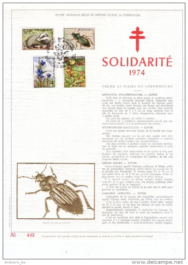Carte Max Gold - Feuillet Or - 1738-41 - Solidarité - 1971-1980