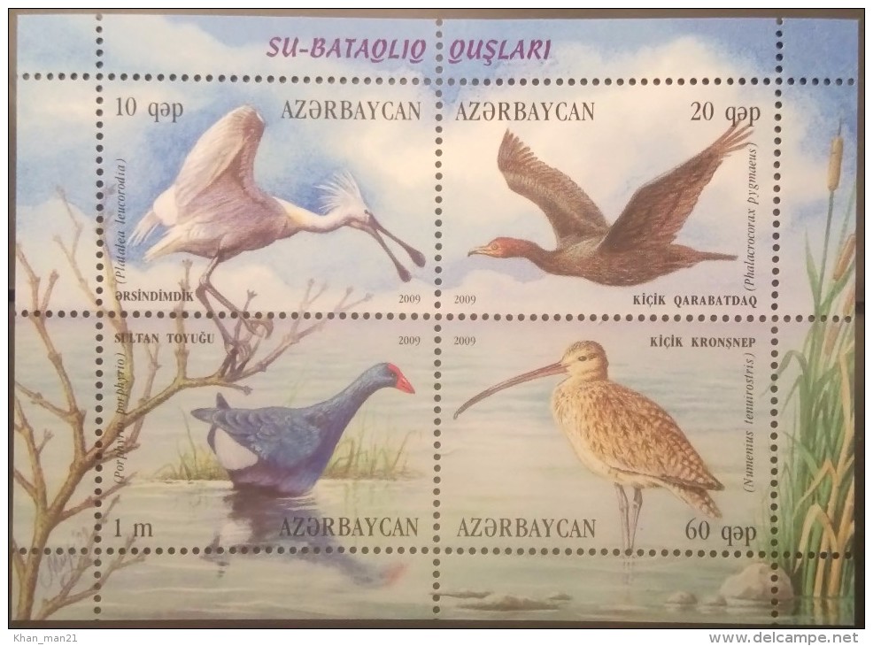 Azerbaijan, 2009, Birds, MNH - Picotenazas & Aves Zancudas