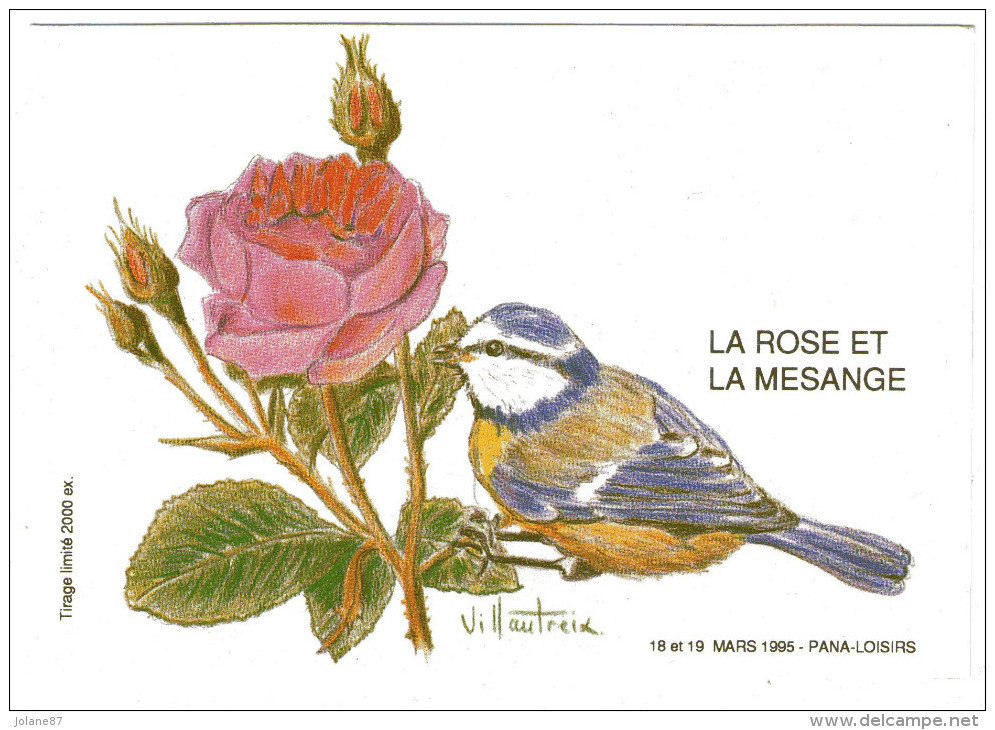 CPM   87    PANAZOL      PANA LOISIRS 1995    LA ROSE ET LA MESANGE   DESSIN VILLAUTREIX - Panazol