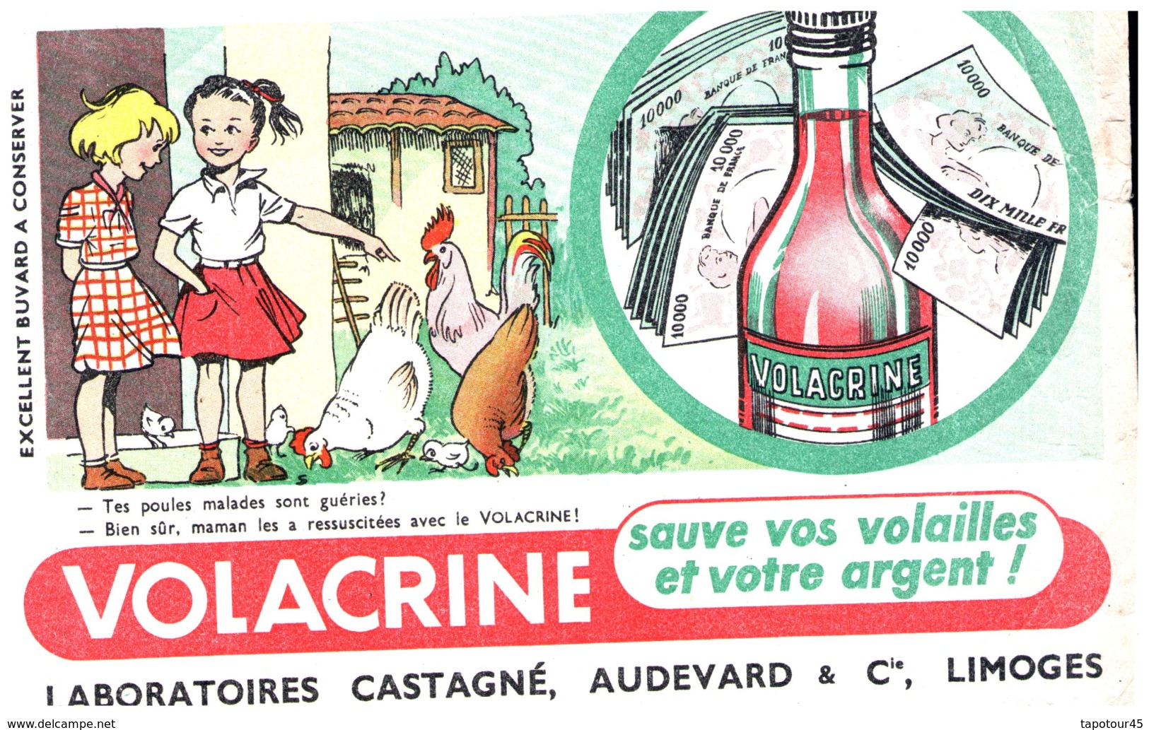 A V C/Buvard    Volacrine Castagné (N= 2) - Tiere