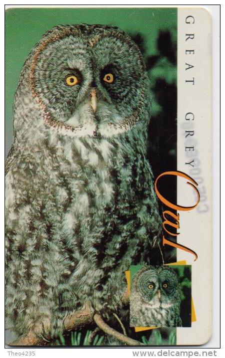 SOUTH AFRICA(MTN)  PHONECARD(CHIP) BIRDS GREAT GREY OWL  SAF-M 35-8/98-USED(2) - Owls