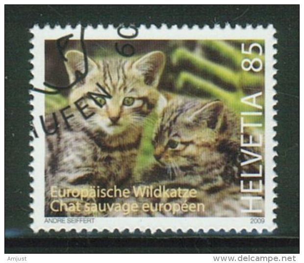 Suisse // Schweiz// Switzerland// 2009  // Chat Sauvage,  Oblitéré 1er Jour  No. 1313 - Used Stamps