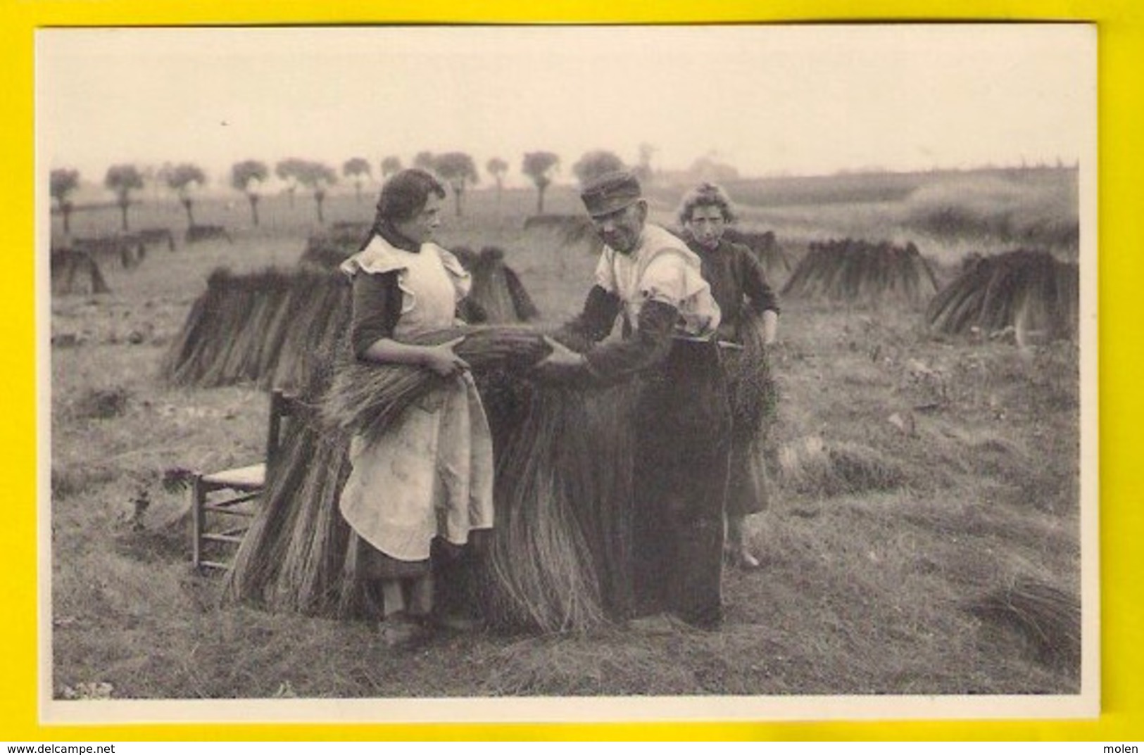 VLASTEELT HAGEN VAN VLAS MISE EN CHAINES DU LIN VANSTEENKISTE WEVELGEM CULTURE FLAX LEIN LINO LINHO BOER PAYSAN 3117 - Landbouwers