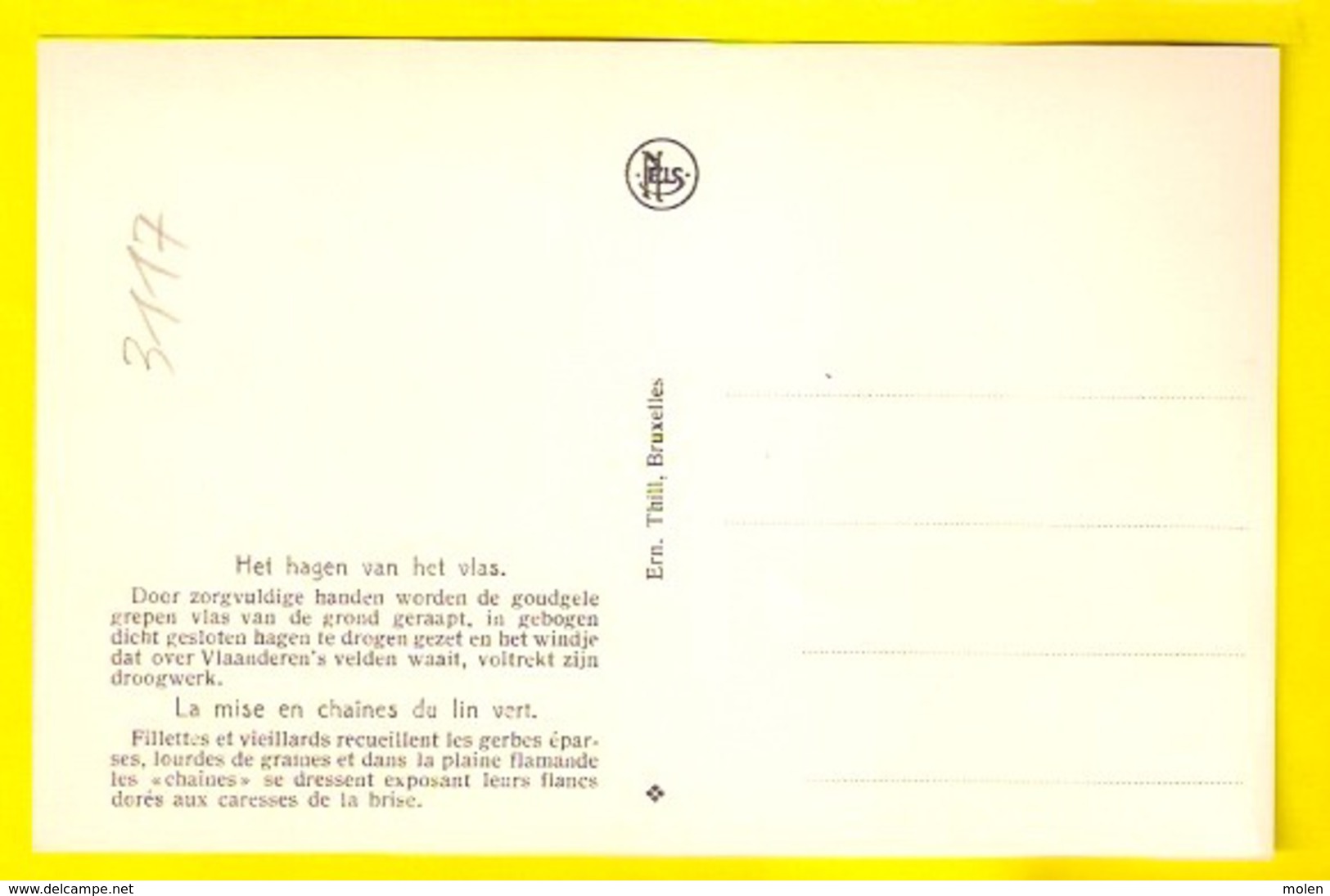 VLASTEELT HAGEN VAN VLAS MISE EN CHAINES DU LIN VANSTEENKISTE WEVELGEM CULTURE FLAX LEIN LINO LINHO BOER PAYSAN 3117 - Landbouwers