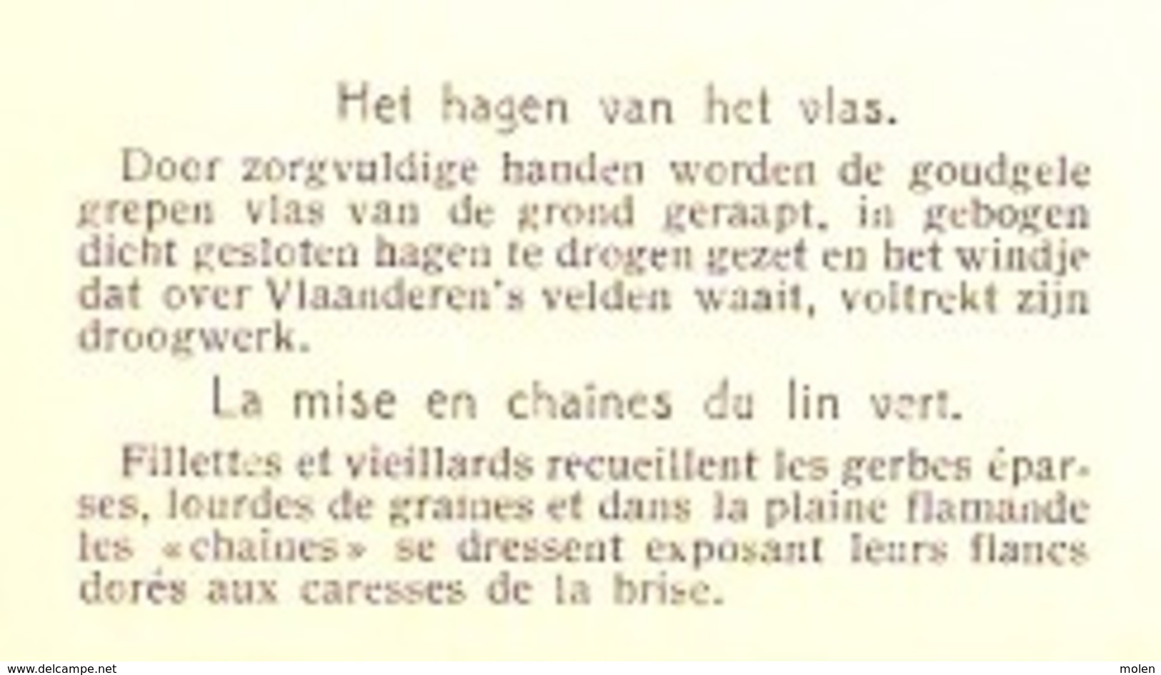 VLASTEELT HAGEN VAN VLAS MISE EN CHAINES DU LIN VANSTEENKISTE WEVELGEM CULTURE FLAX LEIN LINO LINHO BOER PAYSAN 3117 - Landbouwers