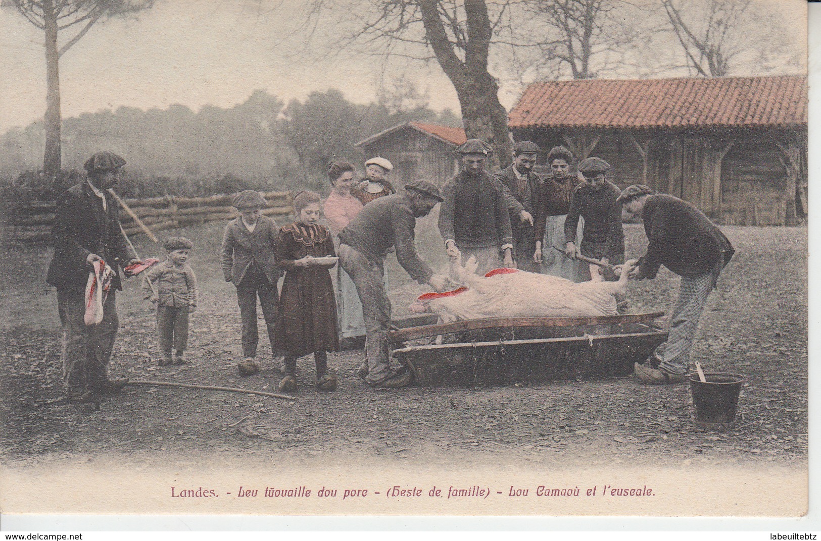 LANDES - Leu Tûaille Dou Porc - ( Heste De Famille ) - Louu Camaoù Et L'Euscale  PRIX FIXE - Autres & Non Classés