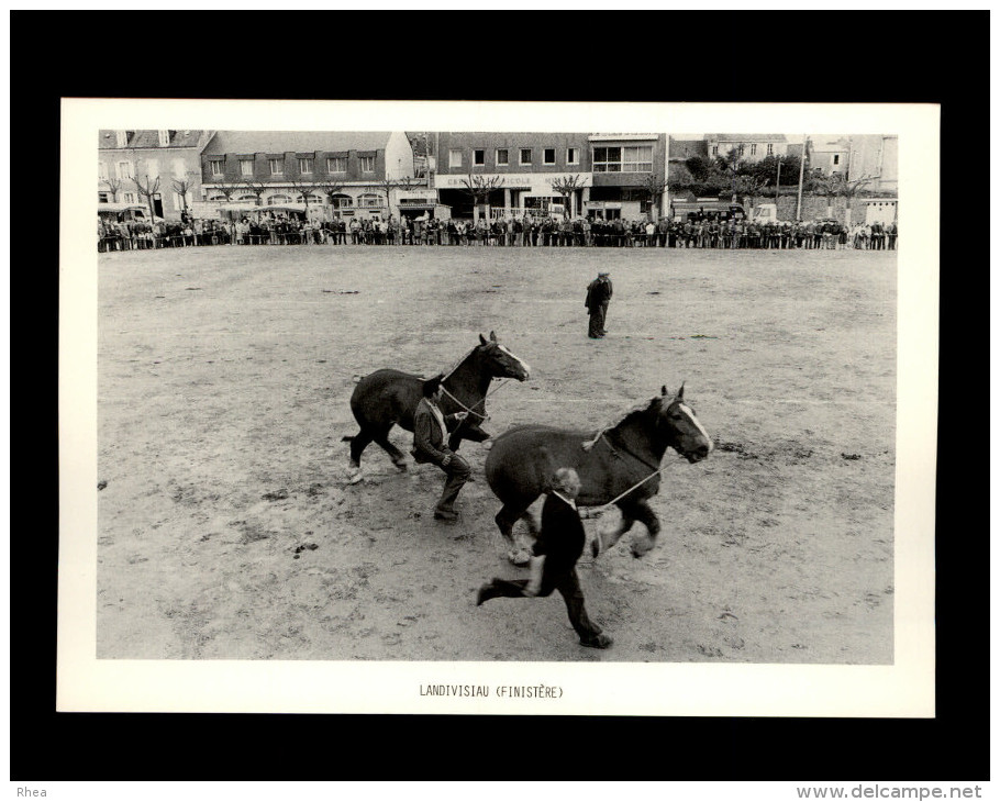 29 - LANDIVISIAU - Concours Régional Du Cheval Breton - 1983 - Landivisiau