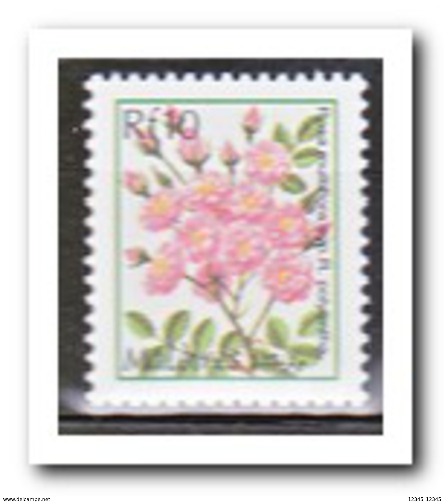 Maldiven 2001, Postfris MNH, Flowers - Malediven (1965-...)