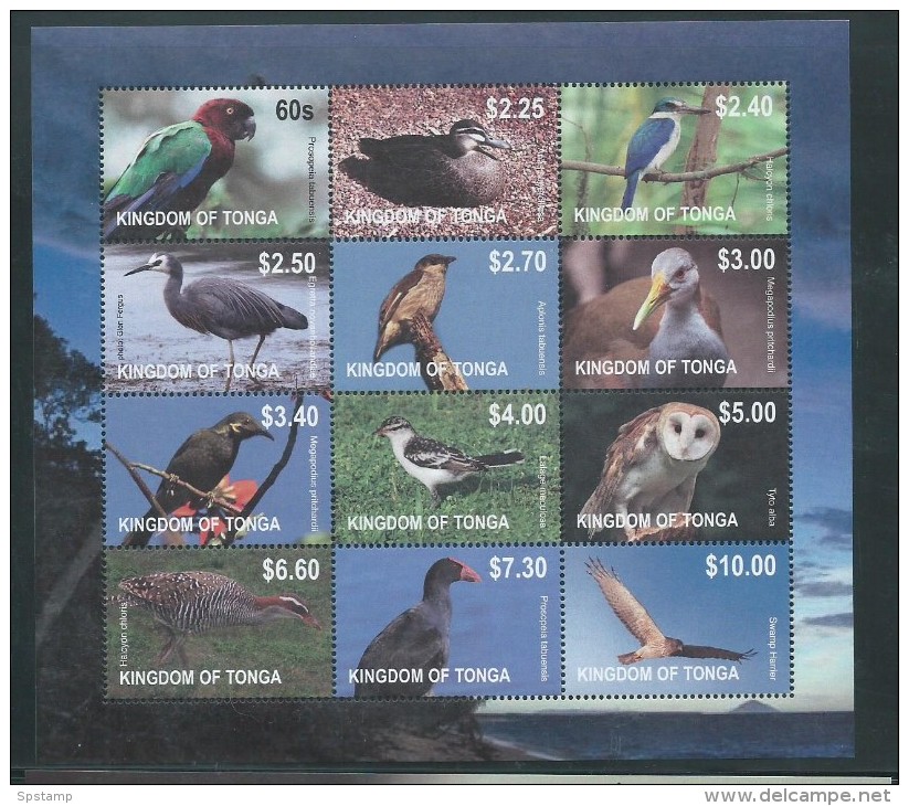 Tonga 2012 Bird Definitives Set Of 12 In Block Format With Margins - Tonga (1970-...)