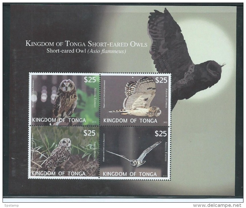 Tonga 2012 $25 Owls Airmail Express Sheet Of 4 MNH - Tonga (1970-...)