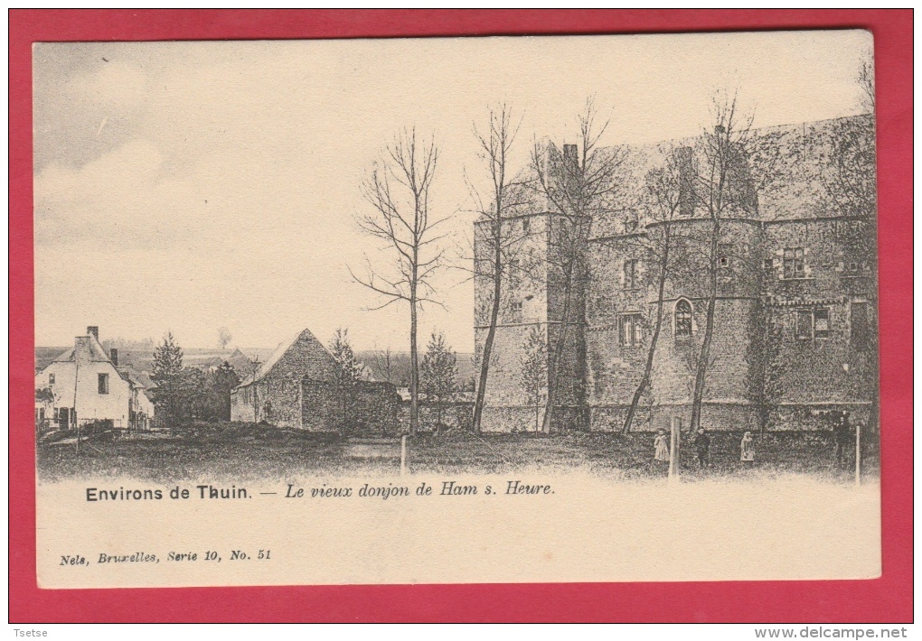 Ham-sur-Heure - Le Château ... Le Vieux Donjon  ( Voir Verso ) - Ham-sur-Heure-Nalinnes