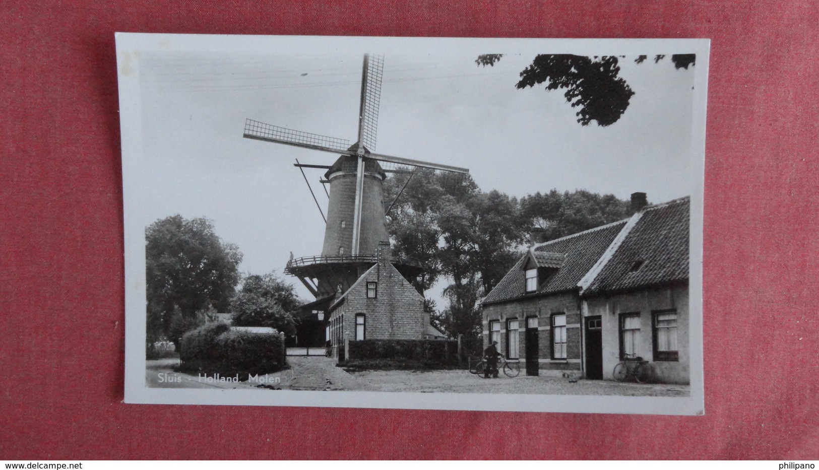 > Netherlands > Zeeland > Sluis   RPPC  Molen  Ref 2397 - Sluis