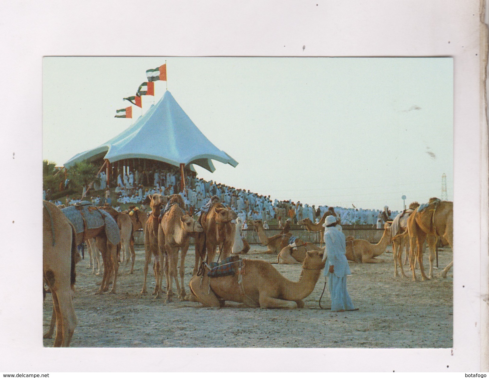 CPM UNITED ARAB EMIRATES, CAMEL RACE - Emirats Arabes Unis