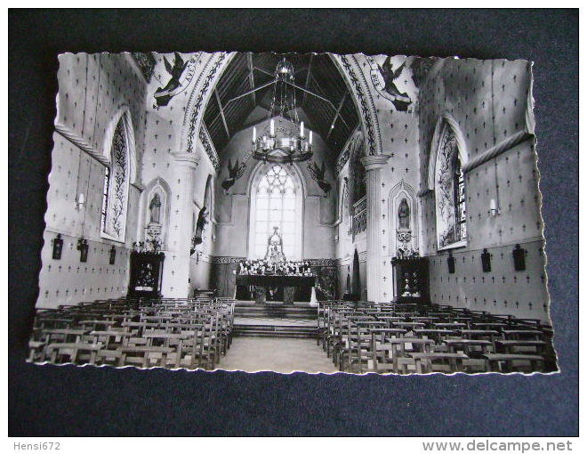 Pstk3052 : Montenaken - Kerk Van O.L.V. Van Steps - Binnenzicht - Gingelom
