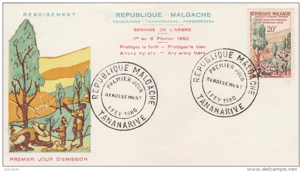 Madagascar - Yvert 351 FDC - 1/2/1960 - Reboisement - Madagascar (1960-...)