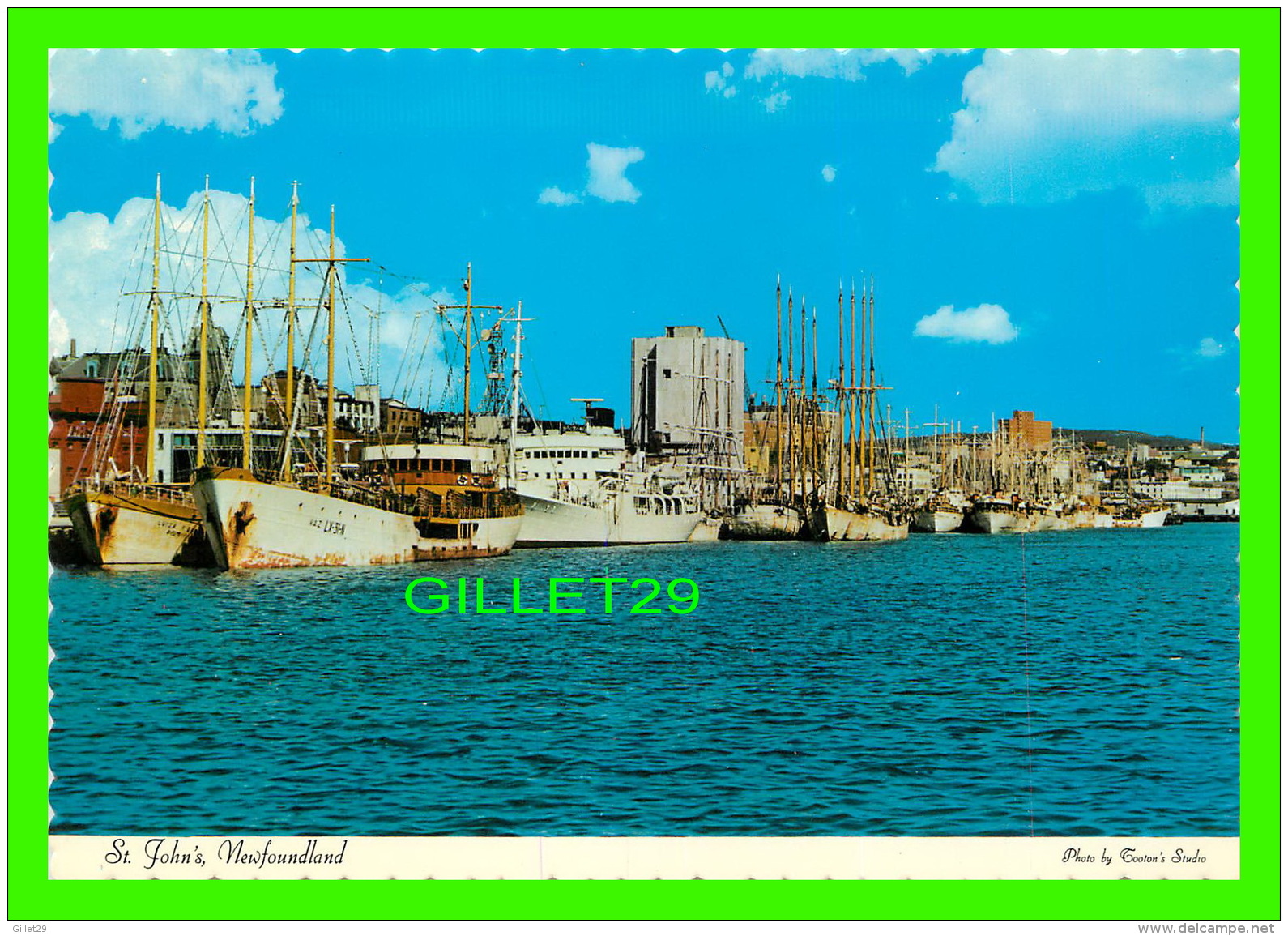 ST JOHN'S, NEWFOUNDLAND - THE PORTUGUESE WHITE FLEET IN HARBOUR  - PUB. BY TOOTON'S LTD - - St. John's