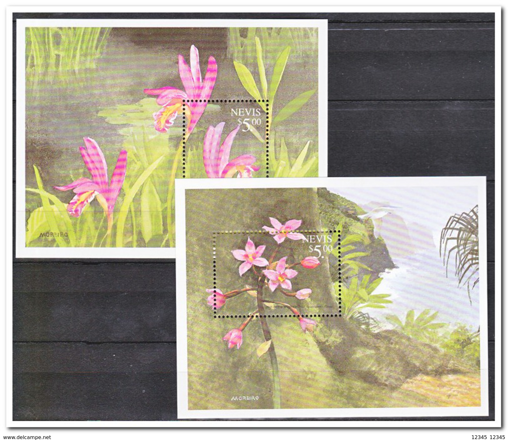 Nevis 1999, Postfris MNH, Flowers - St.Kitts En Nevis ( 1983-...)