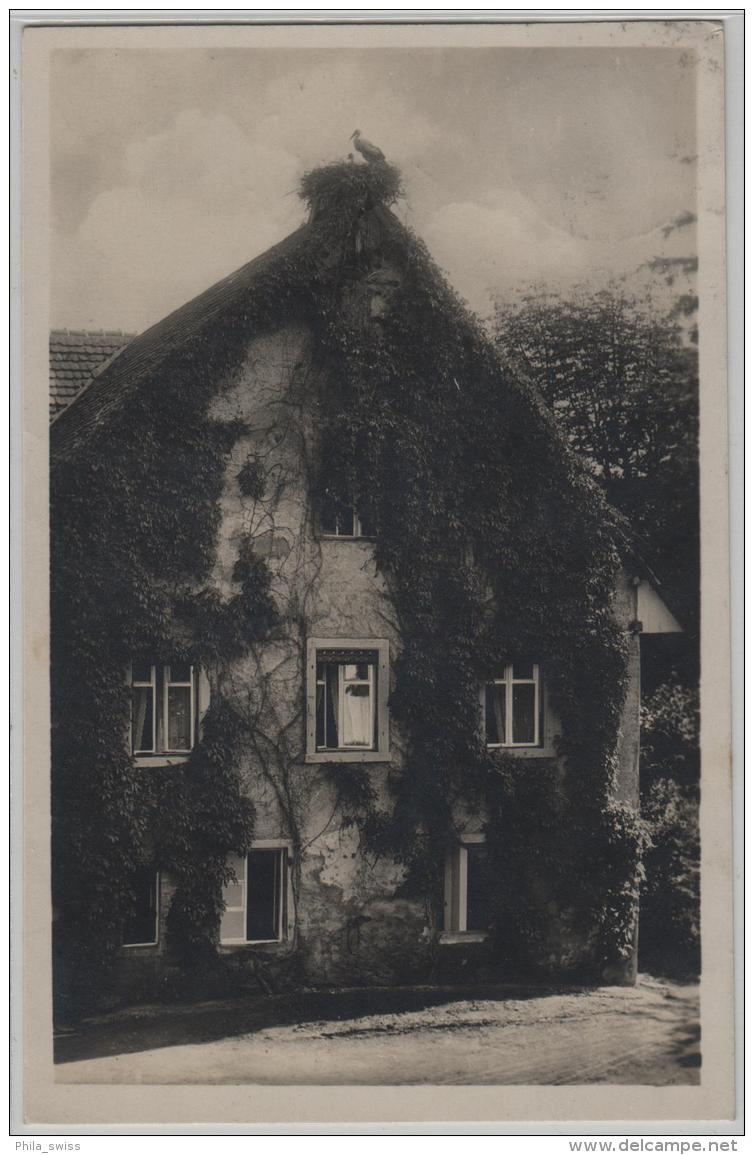 Gasthof Und Soolbad Zum Schiff-Ryburg - Station Möhlin - Besitzer: E. Ackermann - Photoglob No. 06749 - Möhlin