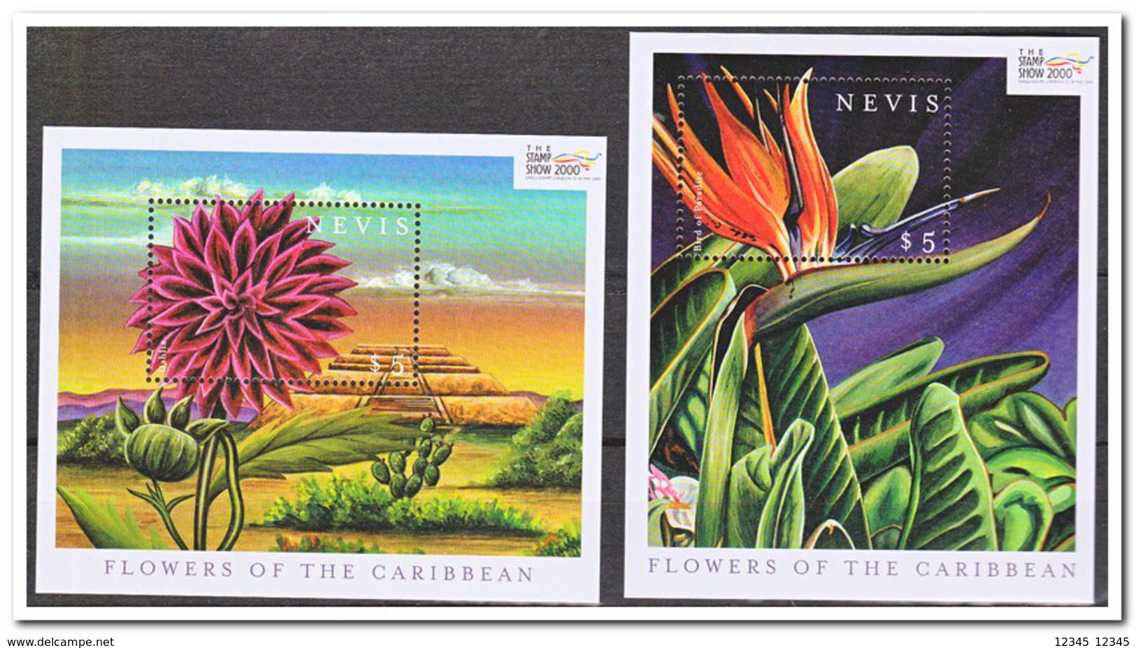 Nevis 2000, Postfris MNH, Flowers - St.Kitts-et-Nevis ( 1983-...)