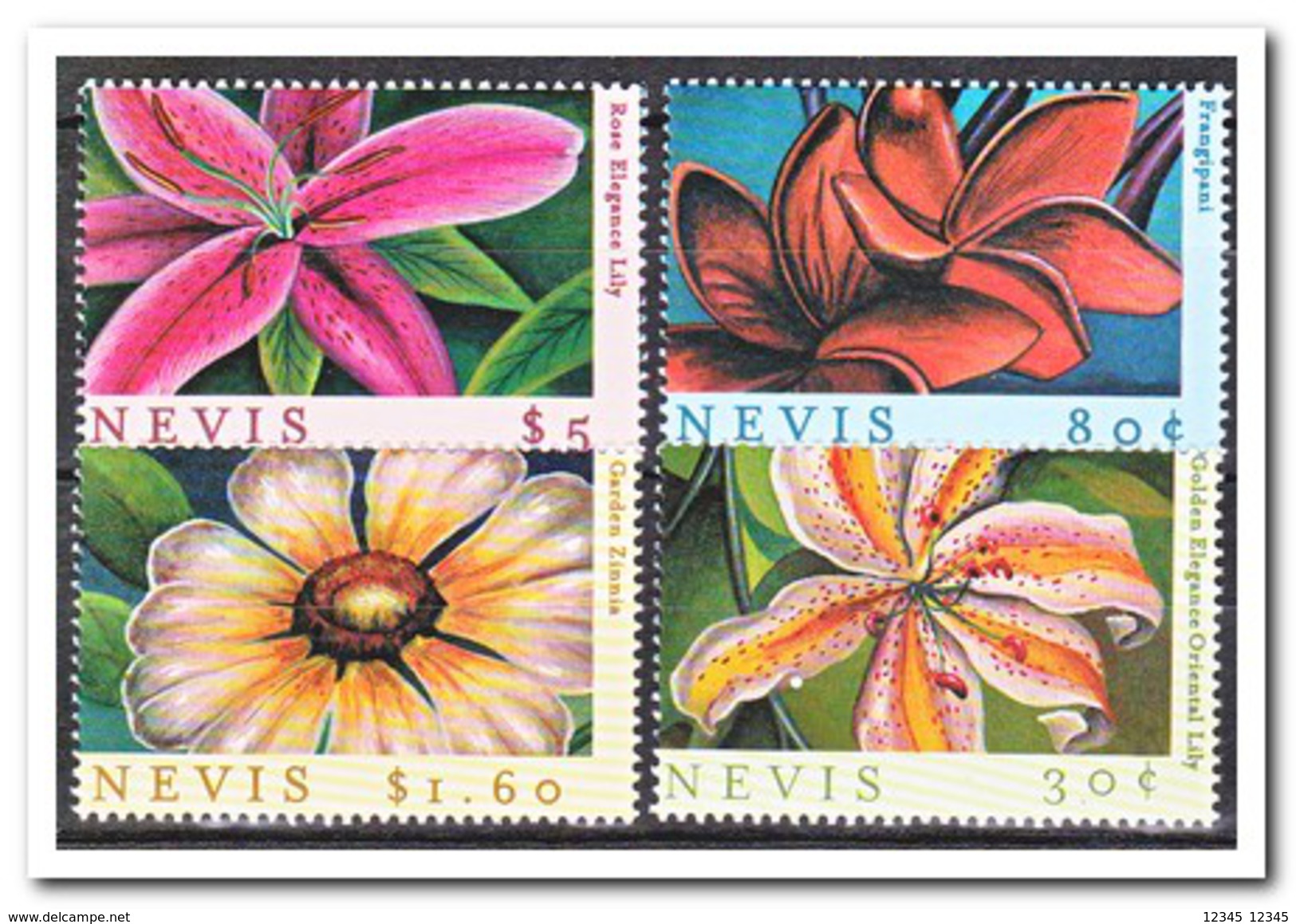 Nevis 2000, Postfris MNH, Flowers - St.Kitts And Nevis ( 1983-...)