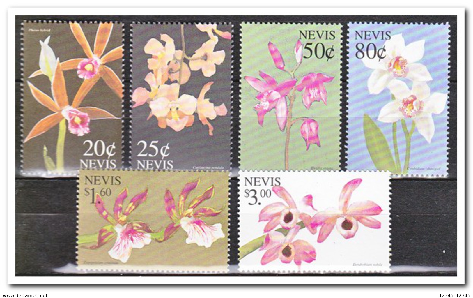 Nevis 1999, Postfris MNH, Flowers, Orchids - St.Kitts En Nevis ( 1983-...)