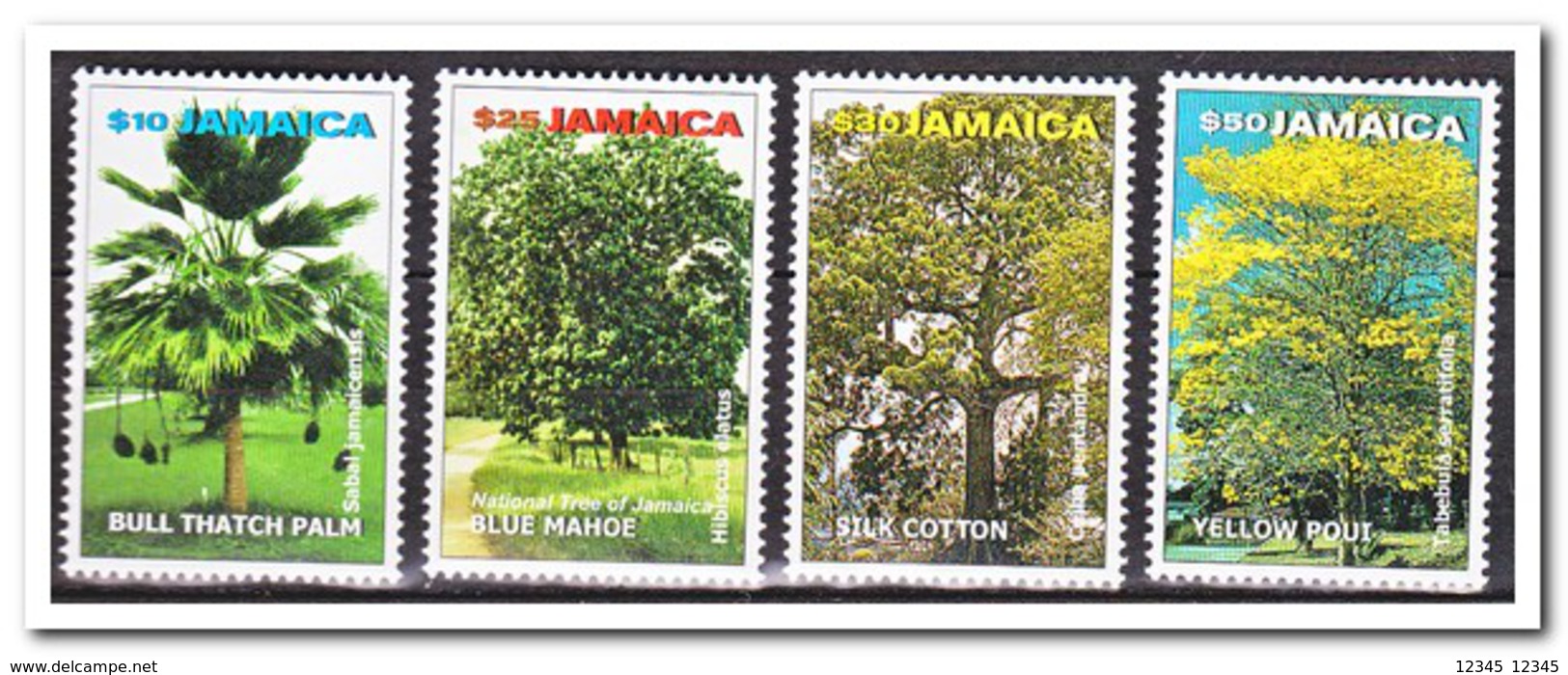 Jamaica 2000, Postfris MNH, Trees - Jamaica (1962-...)