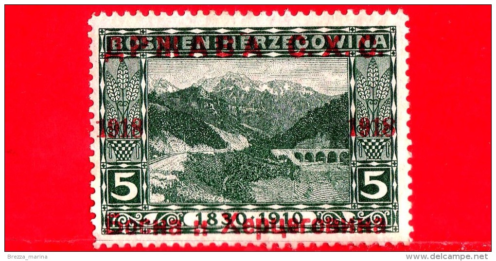 Nuovo - SERBIA - CROAZIA - SLOVENIA - 1918 - Emissione Per La Bosnia-Erzegovina - Narenta Pass And Prenj River - 5 - Unused Stamps