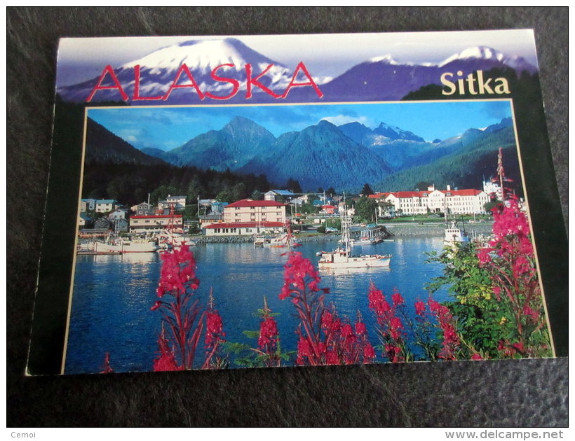 CP - SITKA - Alaska - Sitka Skyline And Boat Harbor With Beautiful Fireweed - Sitka