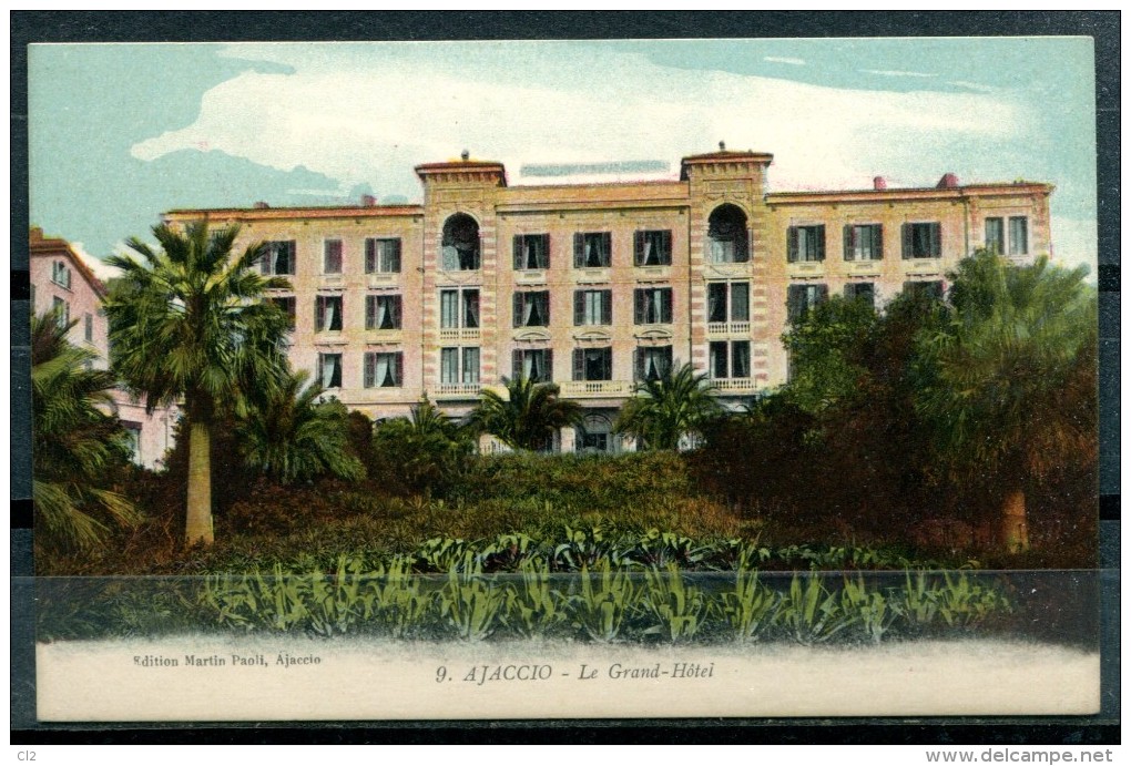 # - AJACCIO - Le Grand-Hôtel (Edition Martin Paoli)(carte Vierge) - Ajaccio