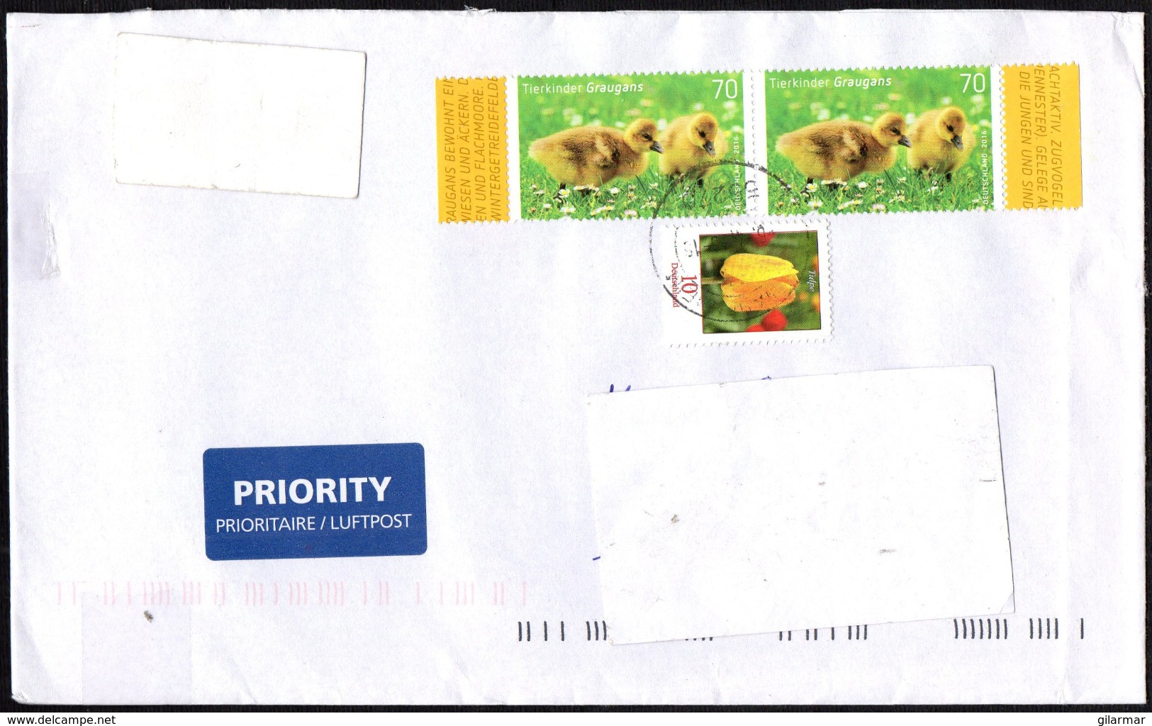 GERMANY 2016 - MAILED ENVELOPE - BABY ANIMALS: ANSER / FLOWERS: TULIP - Ganzen