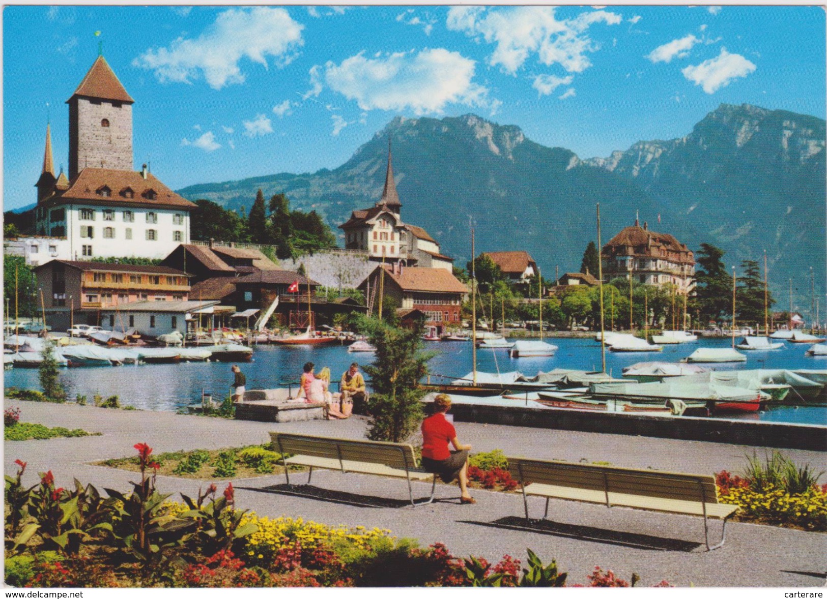 SUISSE,SWITZERLAND,SVIZZERA,HELVETIA,SWISS,SCHWEIZ,BERNE,BERN,SPIEZ,LAC DE THOUNE - Thun