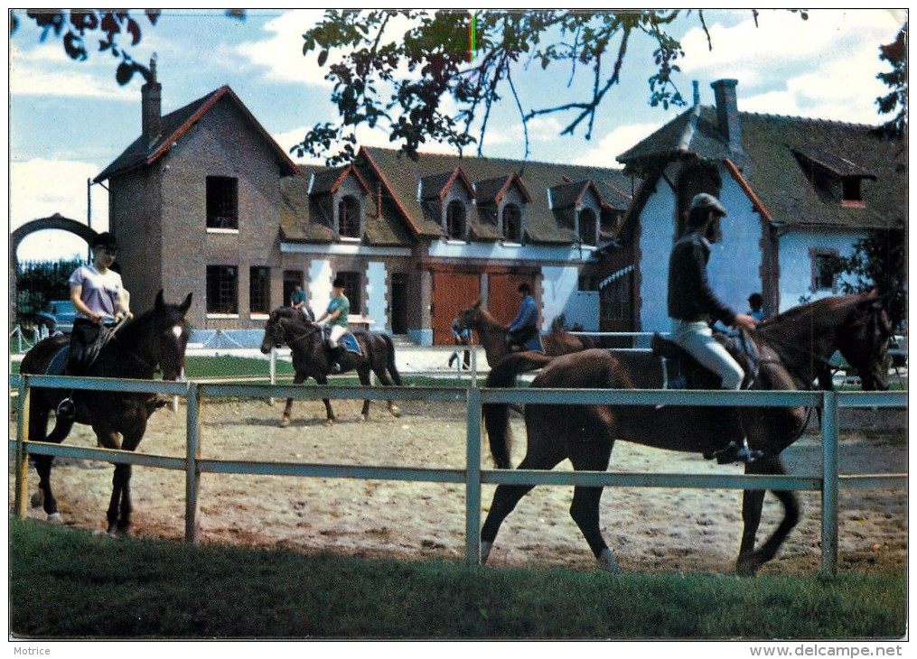 CERISIERS - Haras De Villechétive,centre équestre Daniel Doyen; Lot De 4 Cartes. - Cerisiers