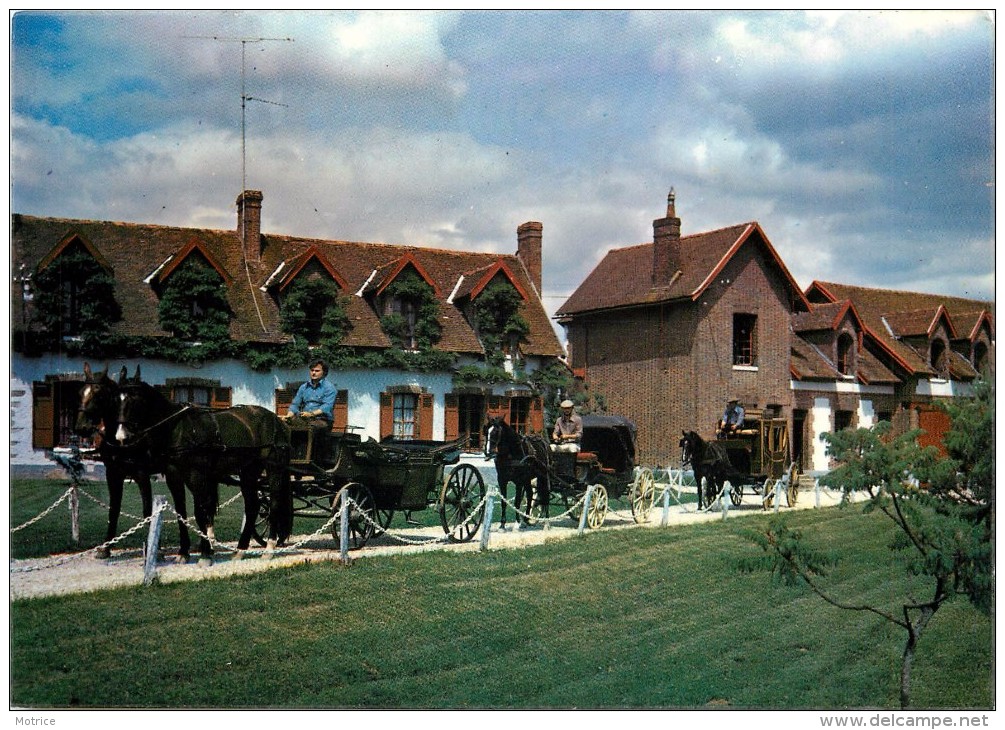 CERISIERS - Haras De Villechétive,centre équestre Daniel Doyen; Lot De 4 Cartes. - Cerisiers