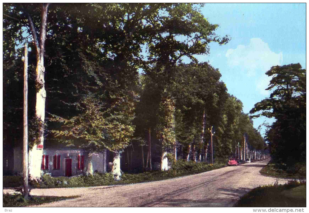 CPSM Crécy En Ponthieu - Crecy En Ponthieu