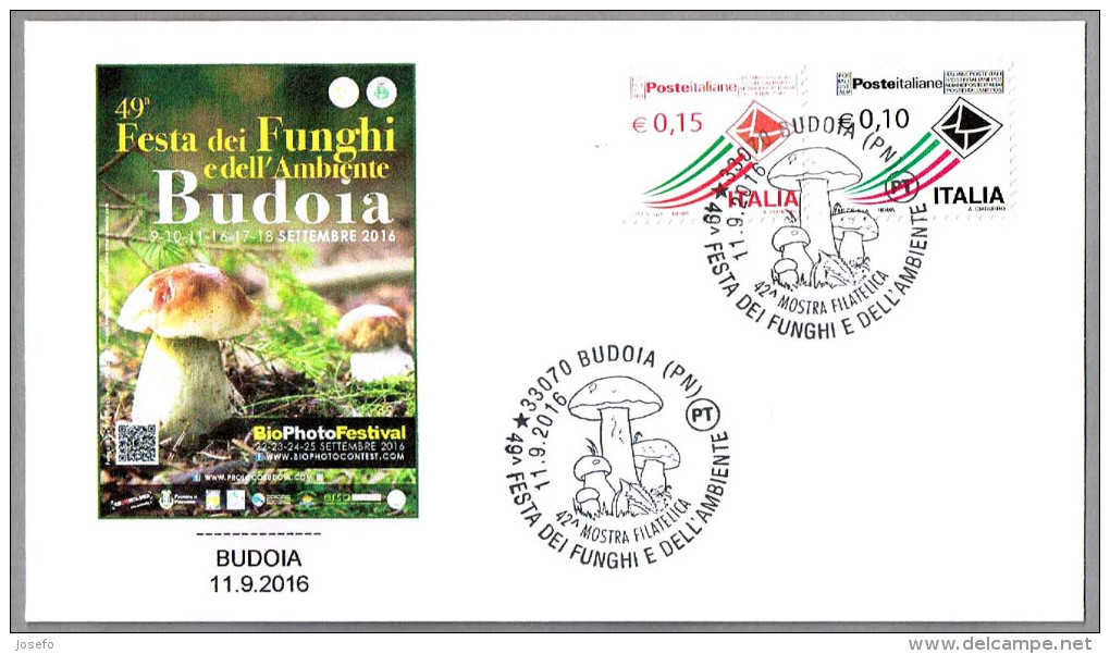 49 FESTA DEI FUNGHI - SETAS - MUSHROOMS. Budoia, Pordenone, 2016 - Hongos