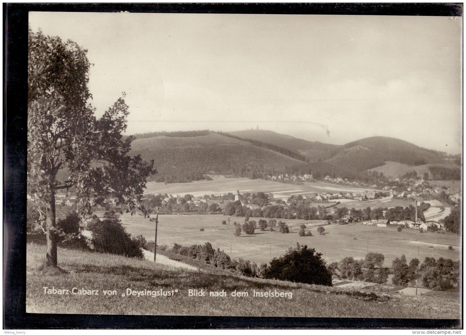 Tabarz Cabarz - S/w Von Deysingslust  Blick Nach Dem Inselsberg - Tabarz