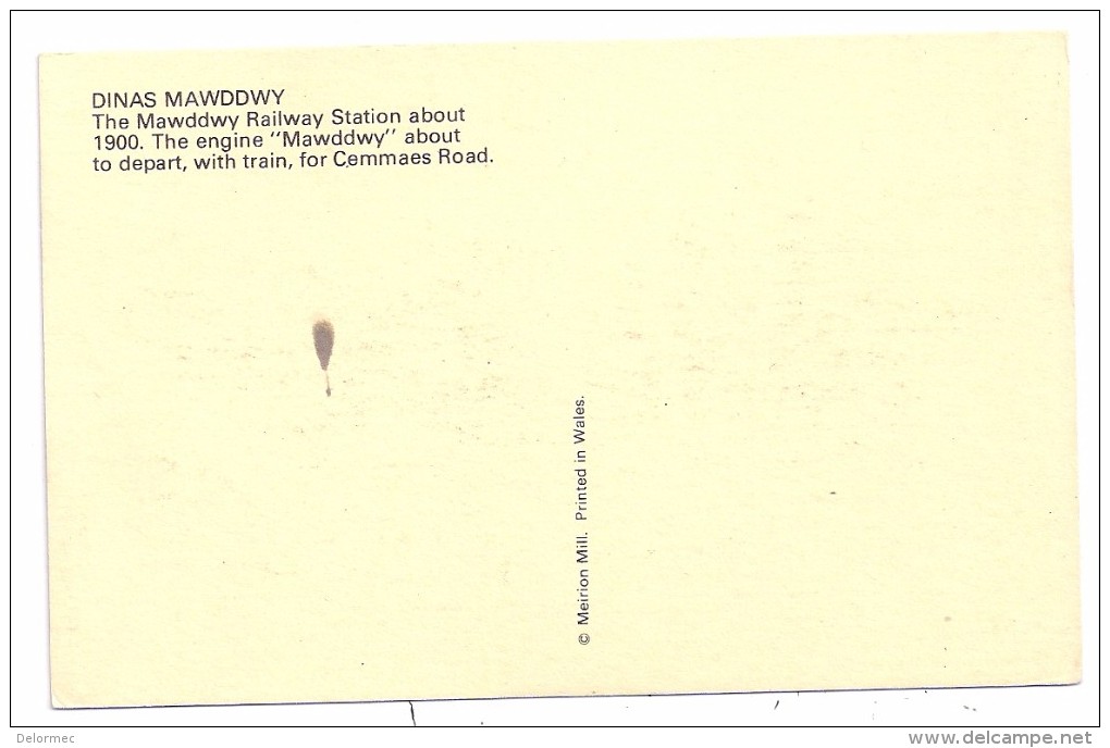 Carte Semi Moderne Dinas Mawddwy Royaume Uni Pays De Galles Wales The Railwail Station About 1900 - Zu Identifizieren