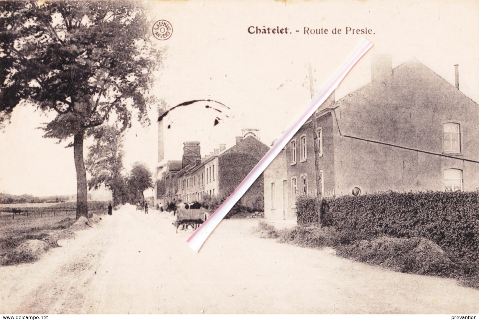 CHATELET - Route De Presle - Splendide Carte - Chatelet