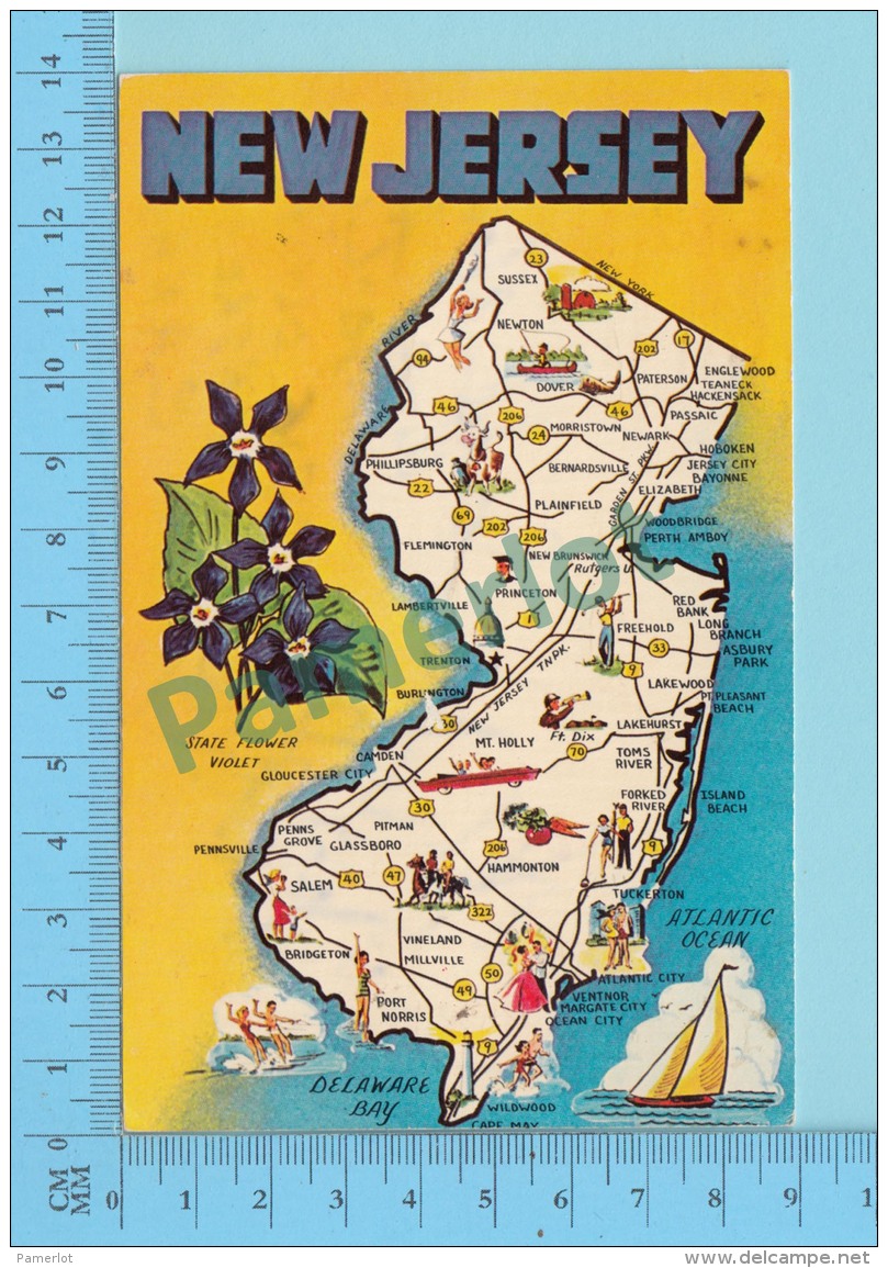 Maps, Cartes Géographiques - New Jersey Map USA  , State Flower Used In 1974 USA Stamp - 2 Scans - Cartes Géographiques