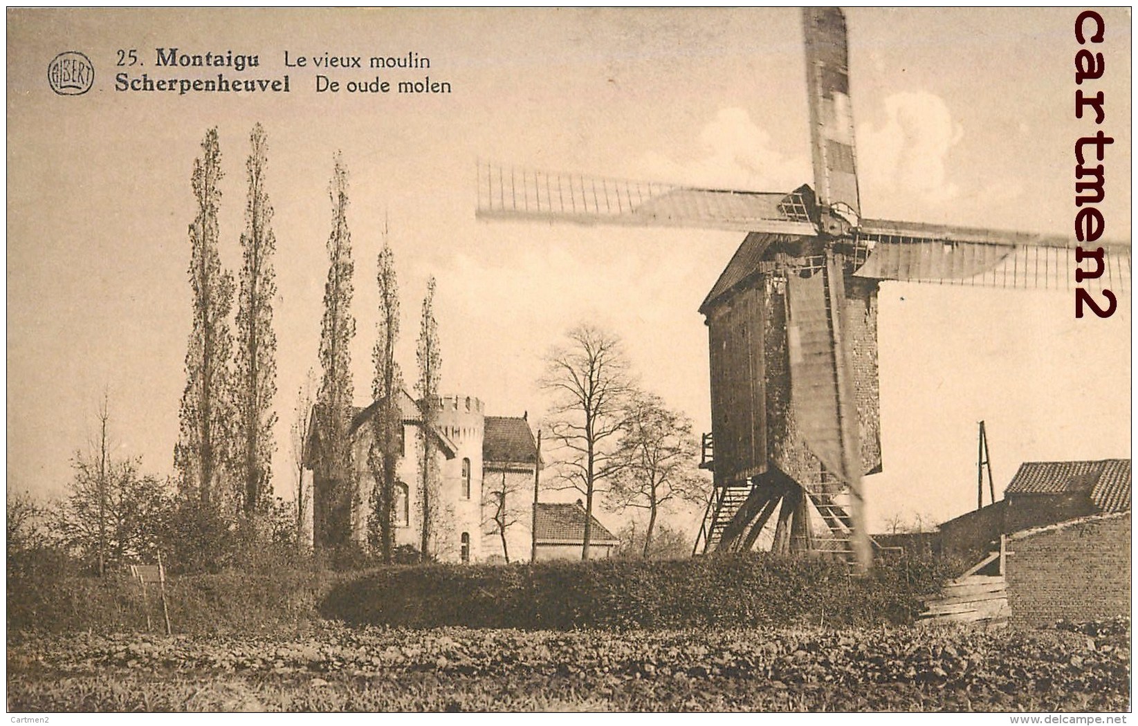 SCHERPENHEUVEL MONTAIGU LE VIEUX MOULIN DE OUDE MOLEN MILL - Scherpenheuvel-Zichem