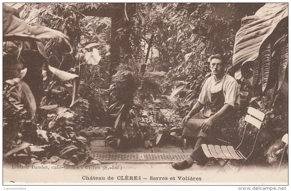76 - CLERES - Château De Clères - Serres Et Volières - Clères