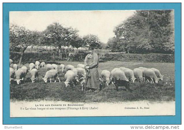 CPA 8 - Le Vieux Berger Et Son Troupeau De Moutons Pâturage à EVRY 10 - Ervy-le-Chatel