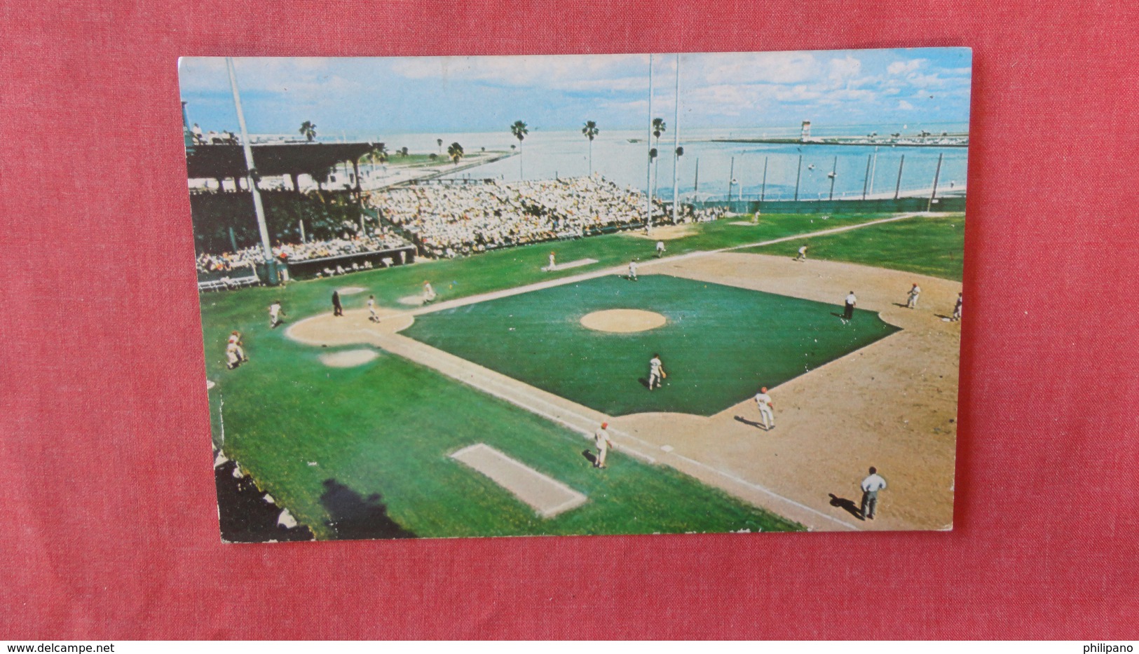 Baseball  Al Lang Field St Petersburg Florida   --------  Ref 2401 - Baseball