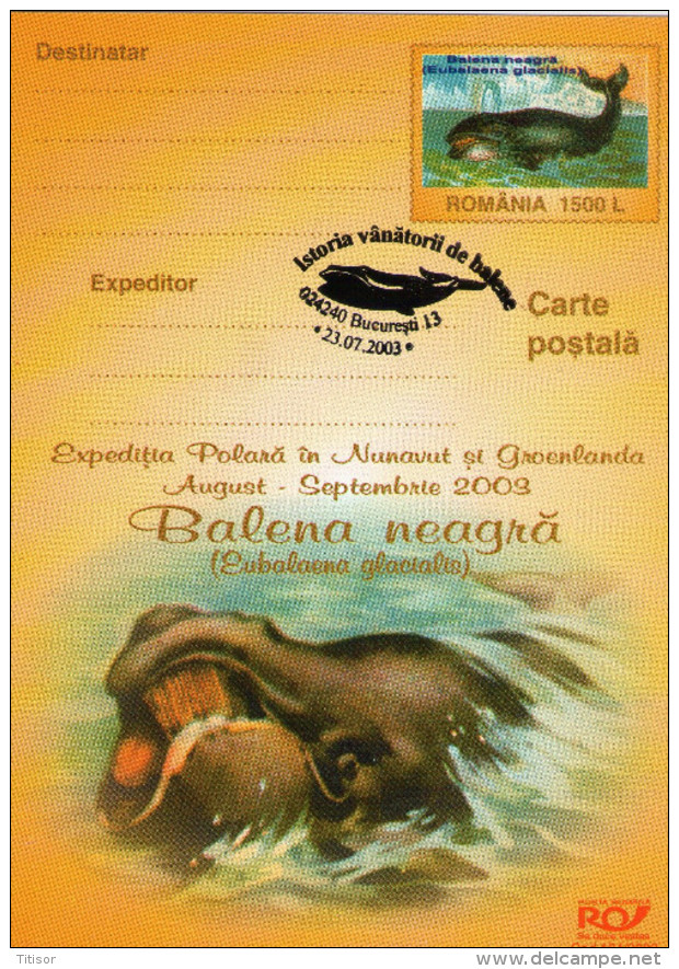 Arrctica, Gronland Expedition 2003. - Expéditions Arctiques