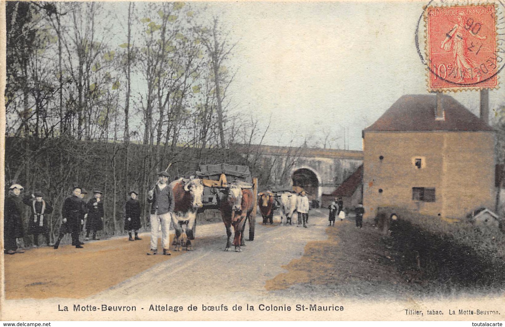 CPA 41 LAMOTTE BEUVRON ATTELAGE DE B&OElig;UFS DE LA COLONIE ST MAURICE 1906 Colorisée - Lamotte Beuvron